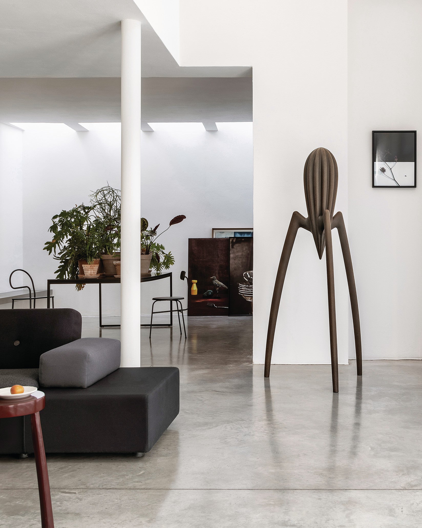 Juicy Salif XXL brown Juicy Salif XXL Alessi 1