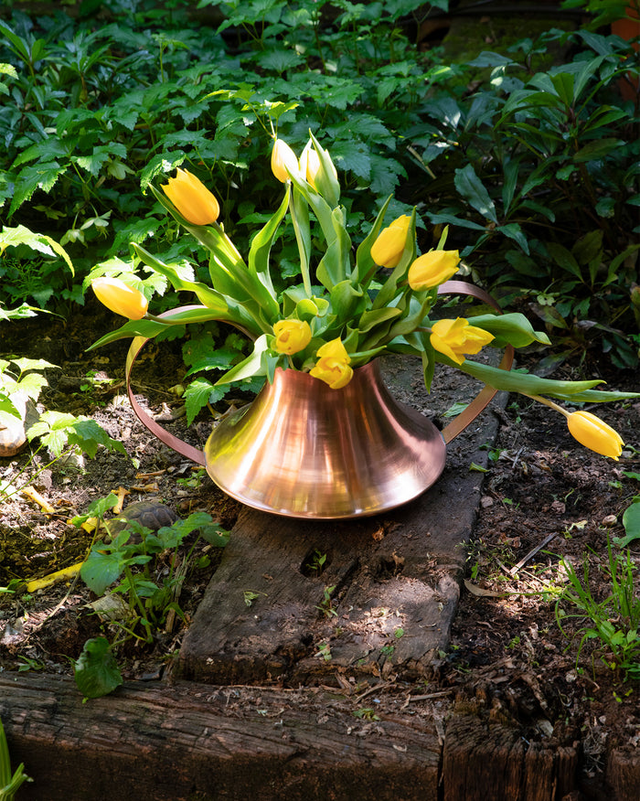 Alessi Image