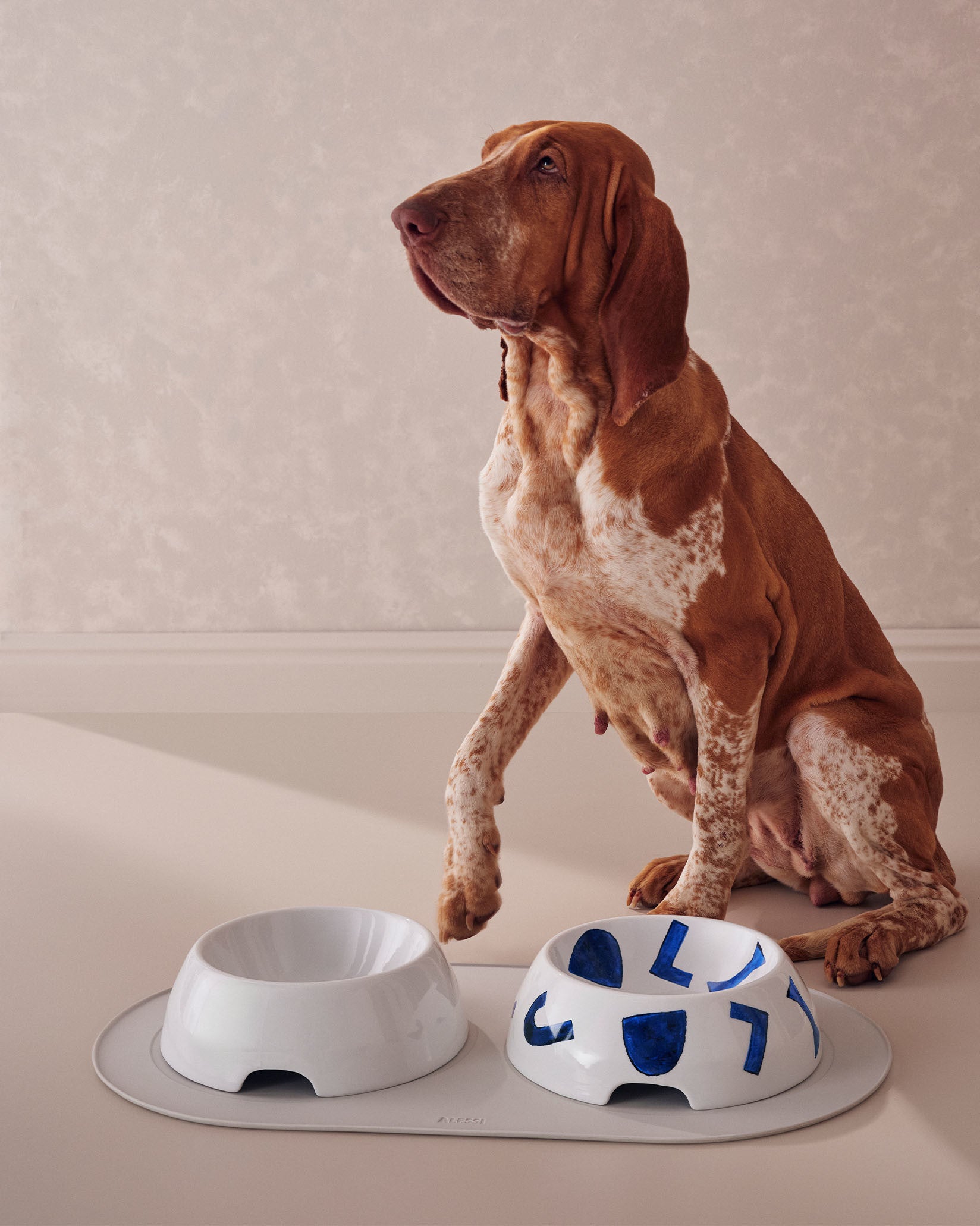 Itsumo pet  S Alfombrilla para comederos de perros y gatos Alessi 3