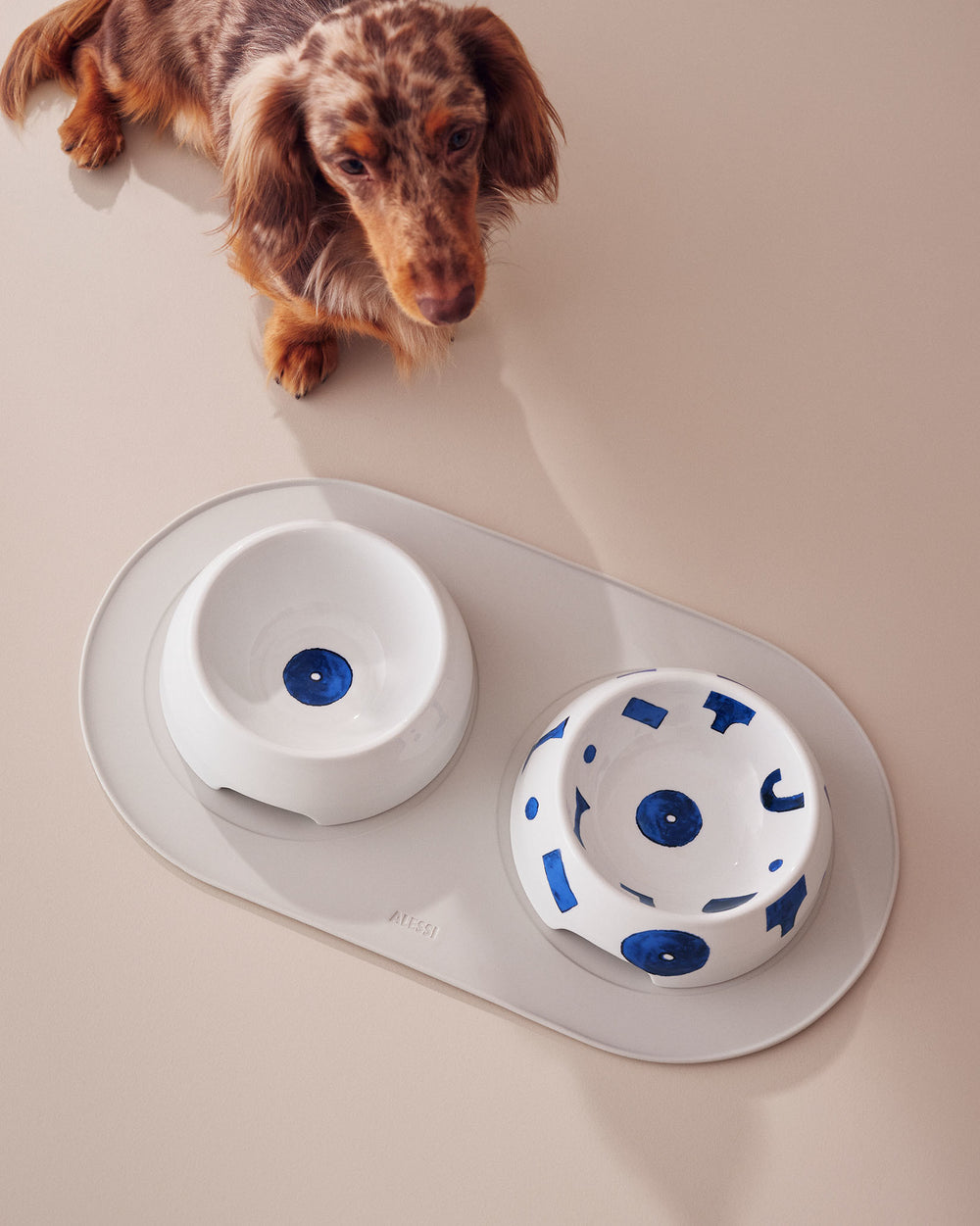 White and blue dog bowls by Alessi, one with a blue dot, the other with geometric patterns, on a grey mat, next to a dachshund.